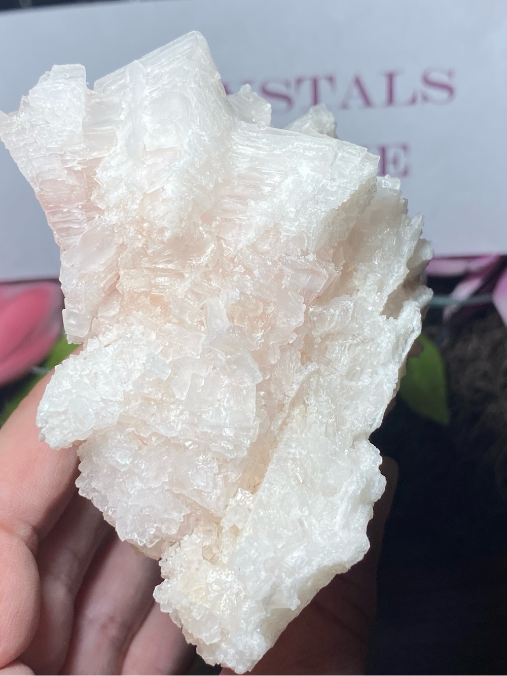 Pink Halite 2 - Picture 6 of 14